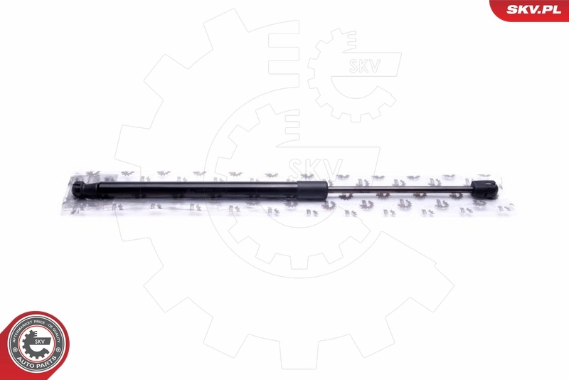 Gas Spring, boot/cargo area